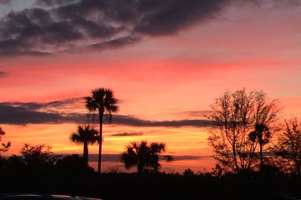 Un coucher de soleil avec des palmiers se détachant en silhouette sur un ciel aux couleurs éclatantes.
