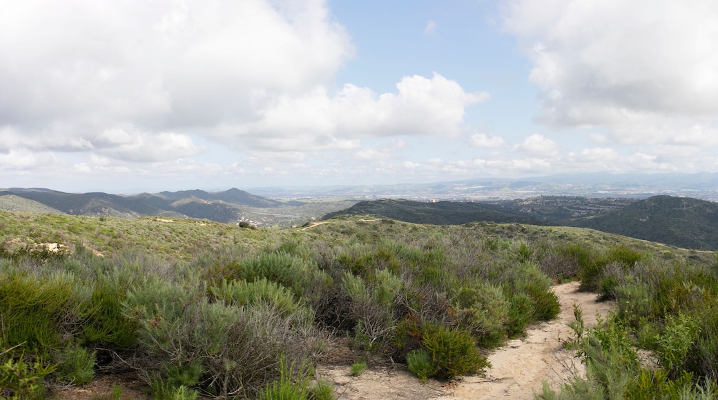 Irvine
