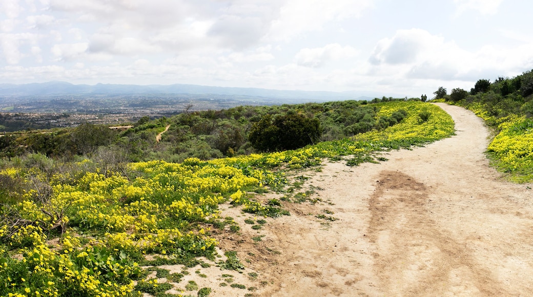 Irvine