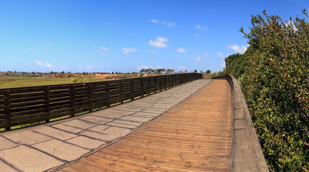 Upper Newport Bay Nature Preserve hiking trail winds along the marsh