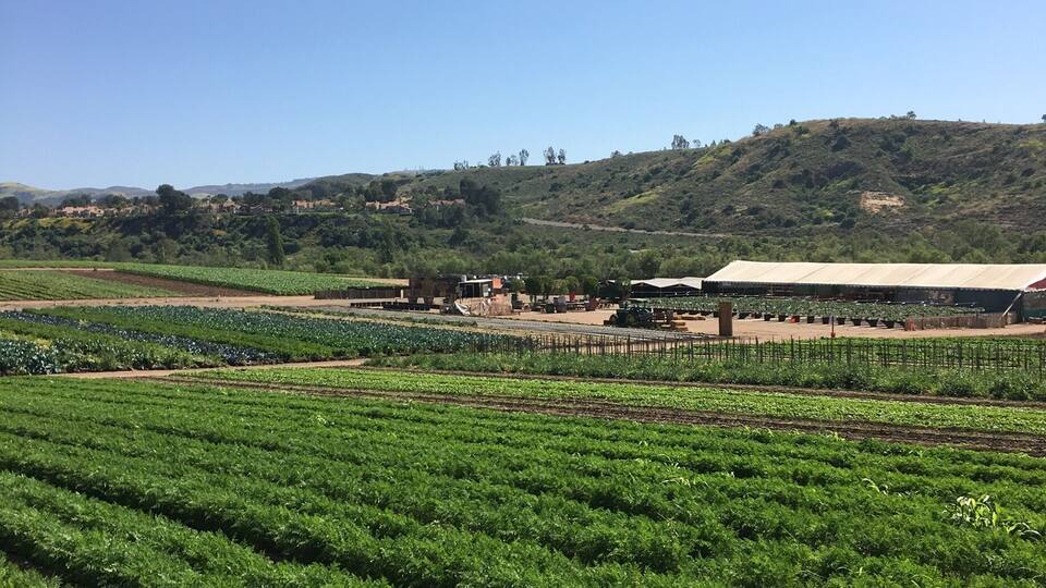 The place is family friendly. The best part is you can sample fresh fruits and vegetables that are in season.