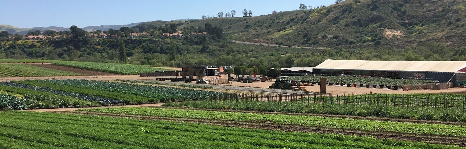 The place is family friendly. The best part is you can sample fresh fruits and vegetables that are in season.