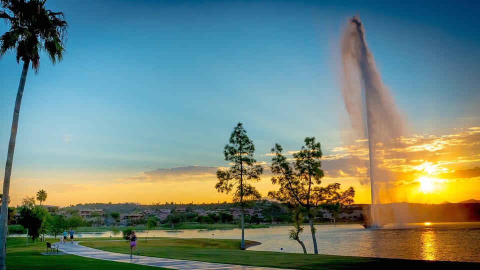 A sunset over a lake with a fountain, palm trees, and a park path.