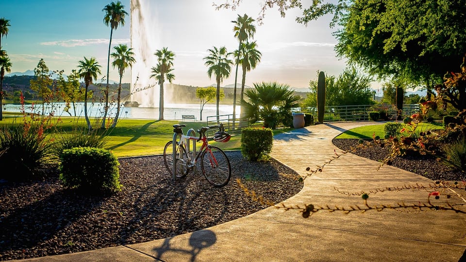 A park with a fountain, palm trees, a bicycle, and a lake.