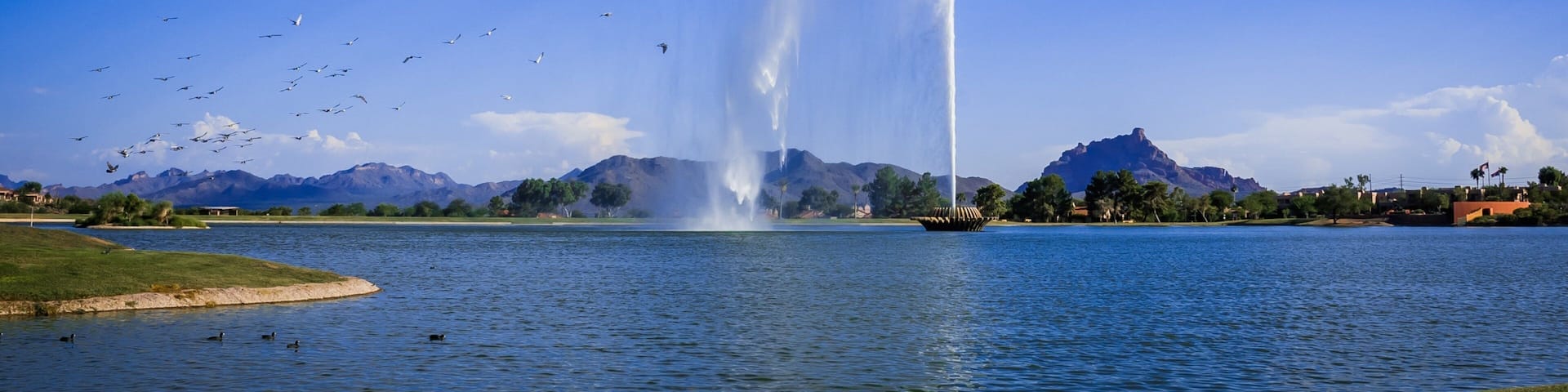 Fountain Hills que incluye montañas, una fuente y vida de las aves