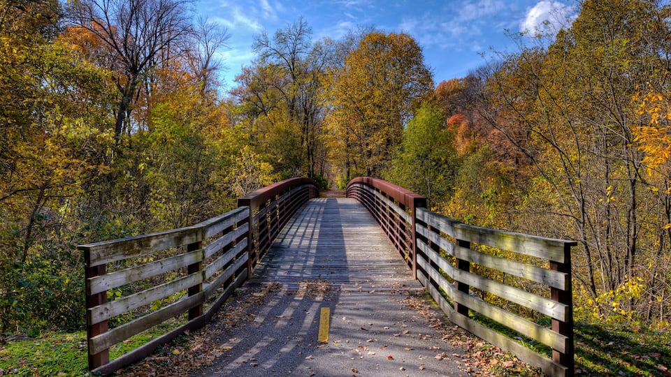 A wooden bridge in a forest with autumn foliage.