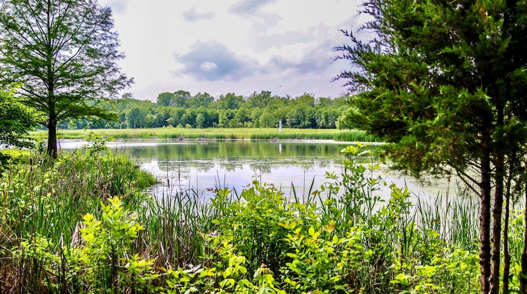 Beautiful nature walk with trails.