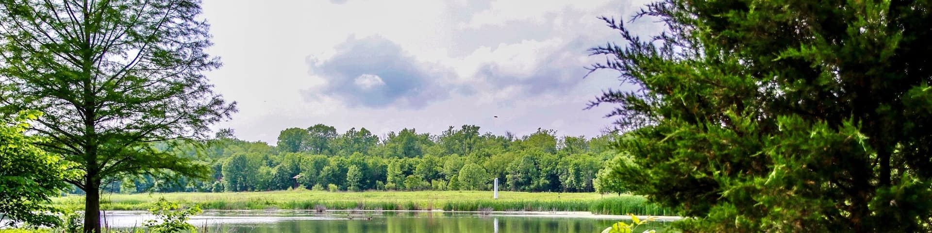 Beautiful nature walk with trails.