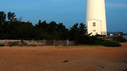 إيج هاربور سيتي