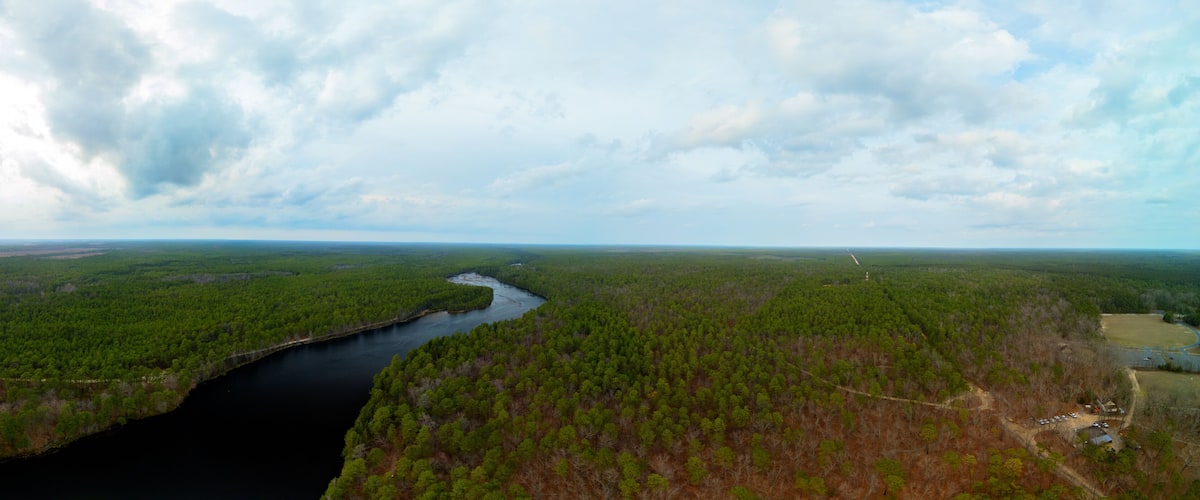 A river winding through a dense forest with a clear sky above.
