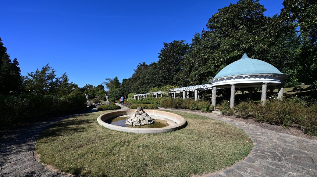 สวนของเซาเออร์