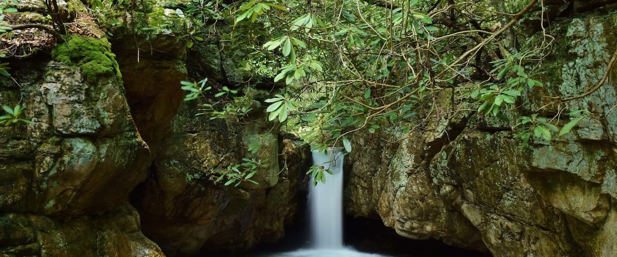 This is a shot from a fall that is just above the Blue Hole in Elizabethton, Tennessee. There isn't much of a hike to get to these falls but it is so worth the drive there. About 4 miles on up the road you can park at a gate and walk the road up to Holston Mountain Firetower. It is closed off, but if you're daring you can definitely shimmy under the gate and climb it for the view!
#waterfall #bluehole #notbluehole #waterlust #wanderlust #beautiful