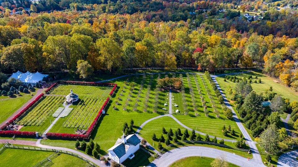 A cemetery with orderly rows of graves, surrounded by a well-maintained lawn and a variety of trees in autumn colors.