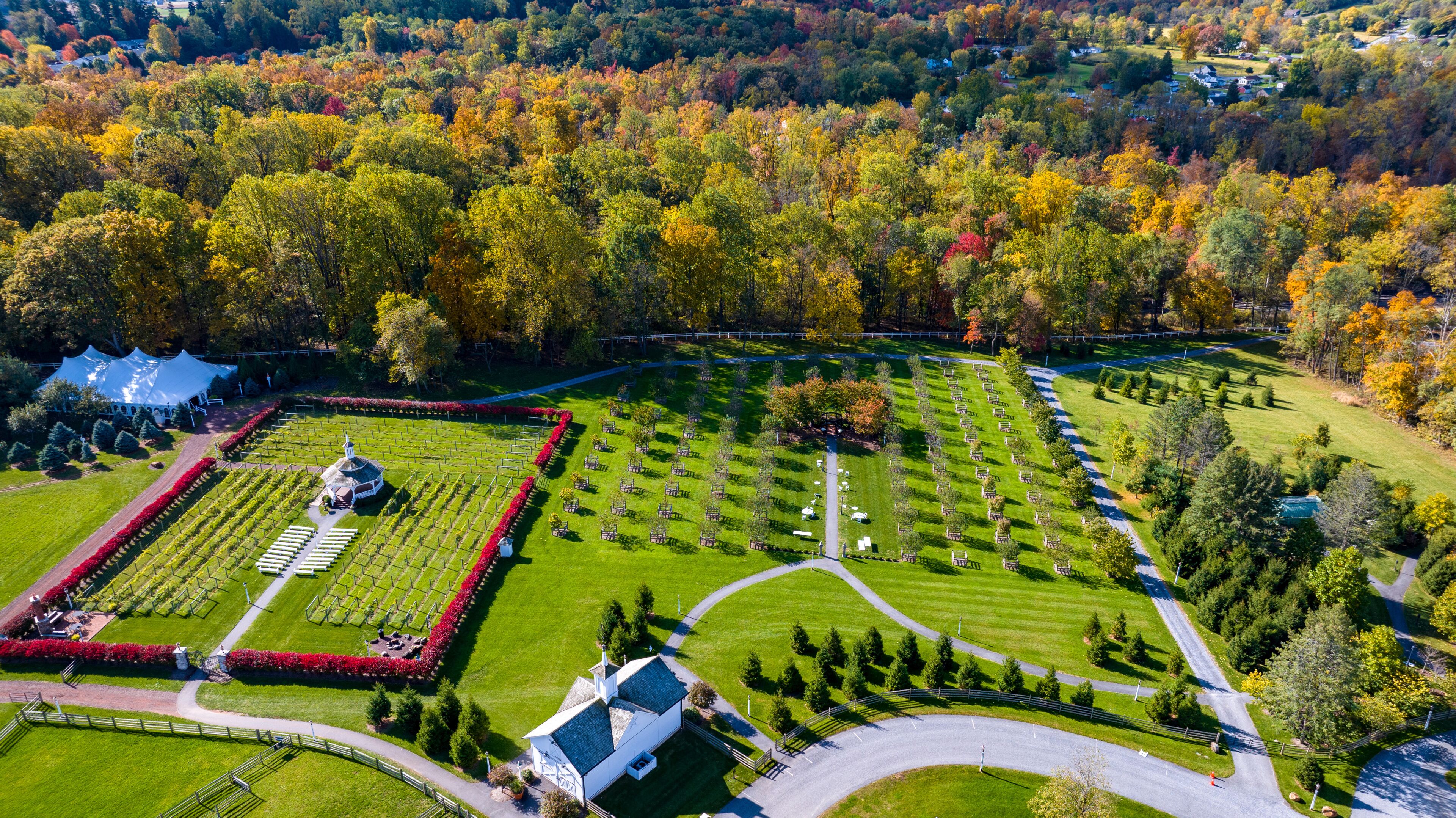 A cemetery with orderly rows of graves, surrounded by a well-maintained lawn and a variety of trees in autumn colors.
