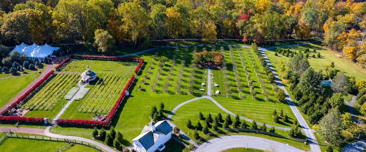 A cemetery with orderly rows of graves, surrounded by a well-maintained lawn and a variety of trees in autumn colors.