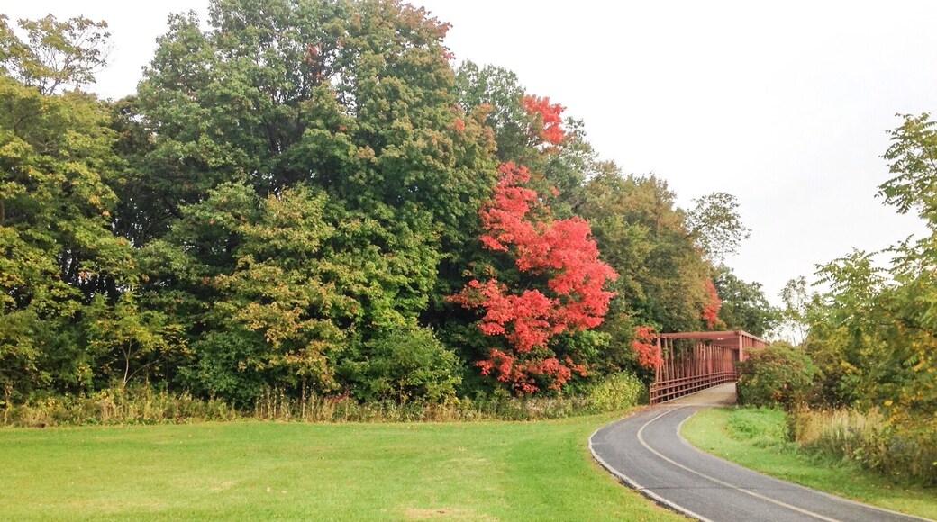 The beginning of fall