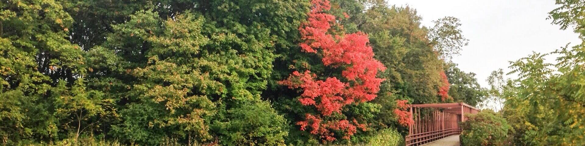 The beginning of fall