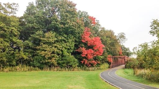 The beginning of fall