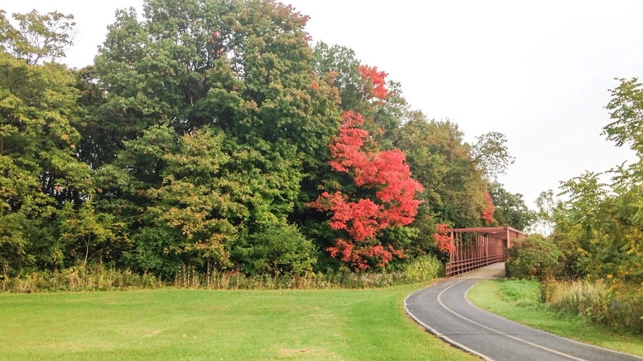 The beginning of fall