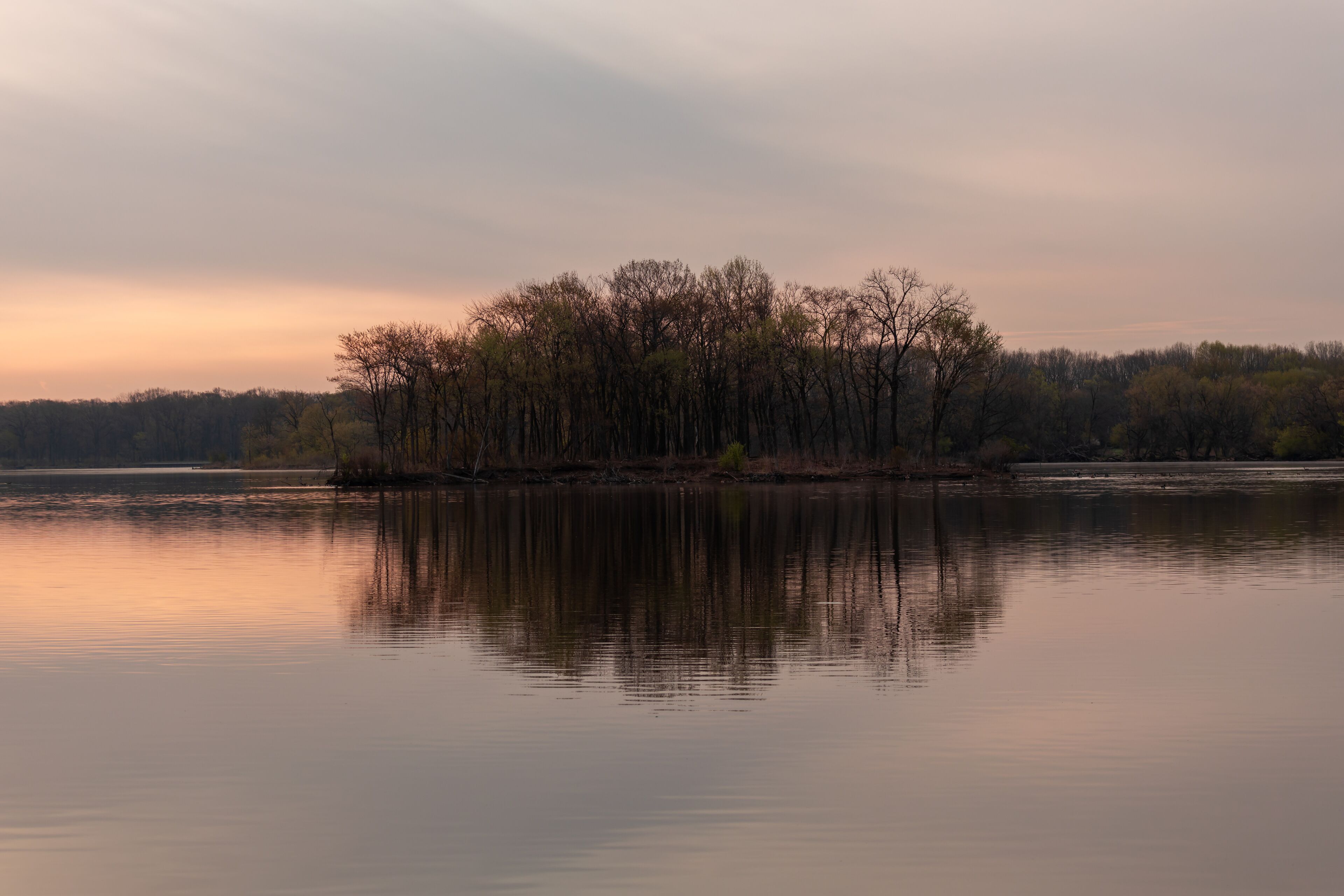 April sunrise over Busse Woods Elk Grove Village Illinois