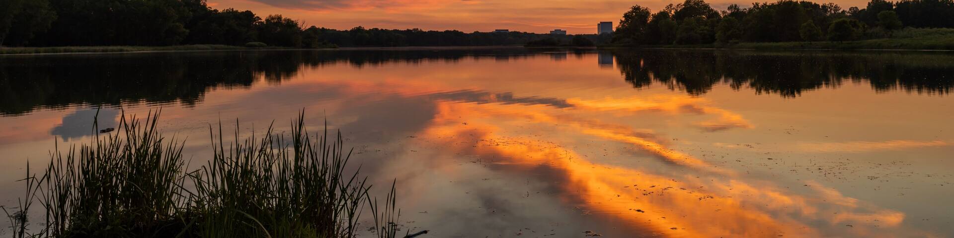 The July sunset over Busse Woods Elk Grove Village Illinois