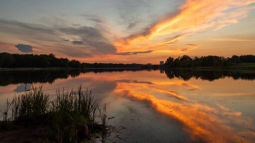 The July sunset over Busse Woods Elk Grove Village Illinois