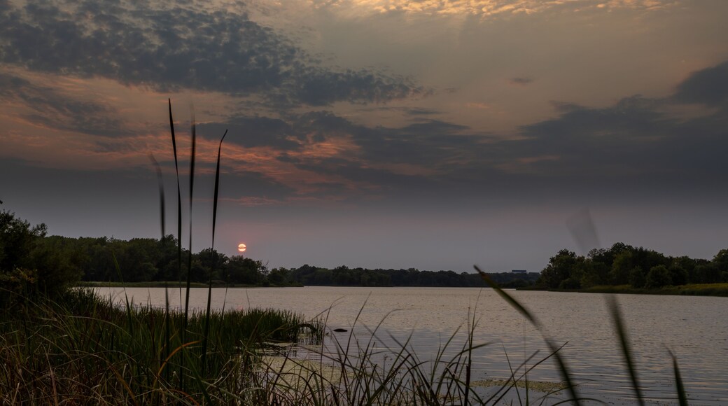 sunrise at Busse Lake Elk Grove Village, Illinois USA