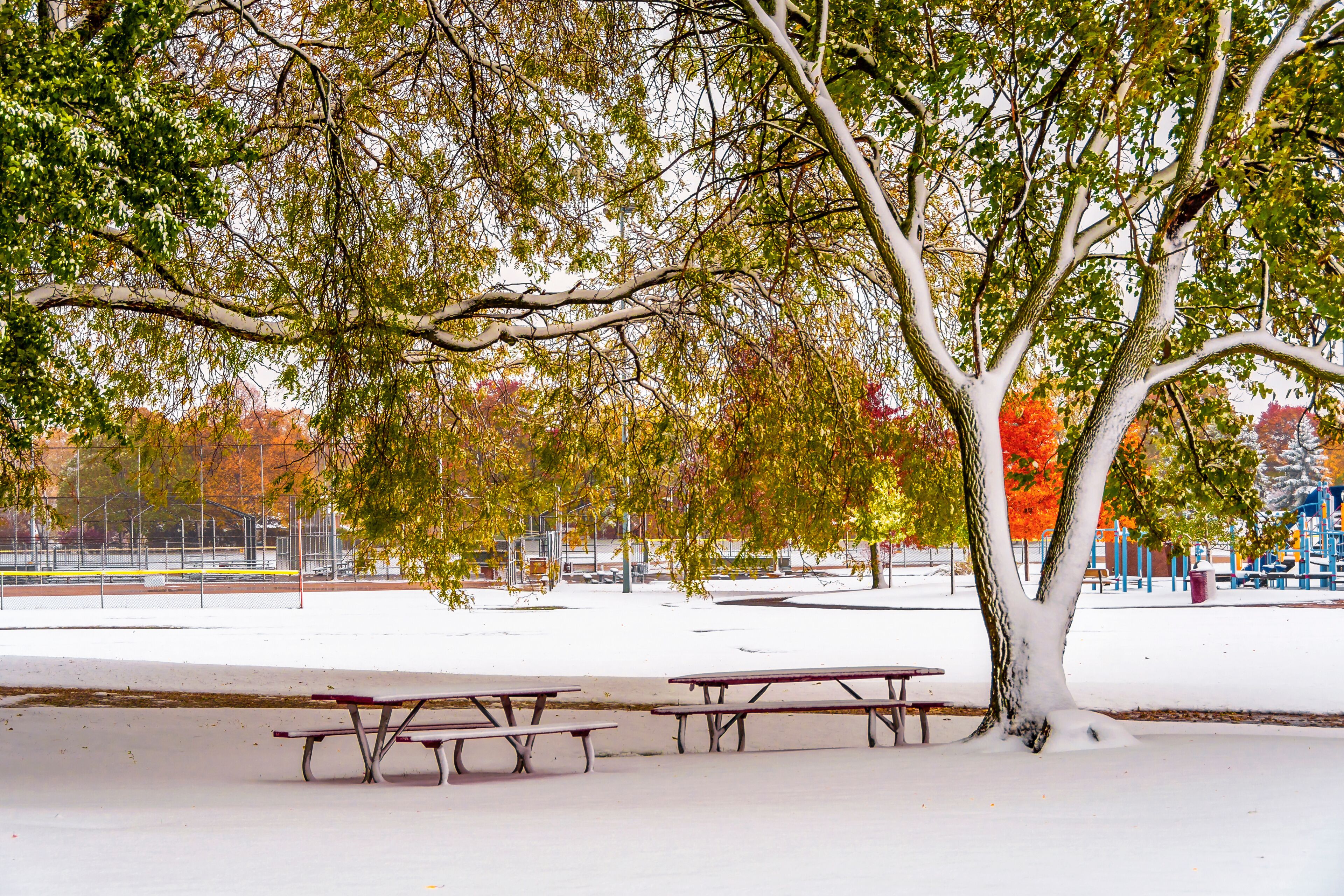 Rosemary S. Argus Friendship Park in Des Plaines Town of Illinois