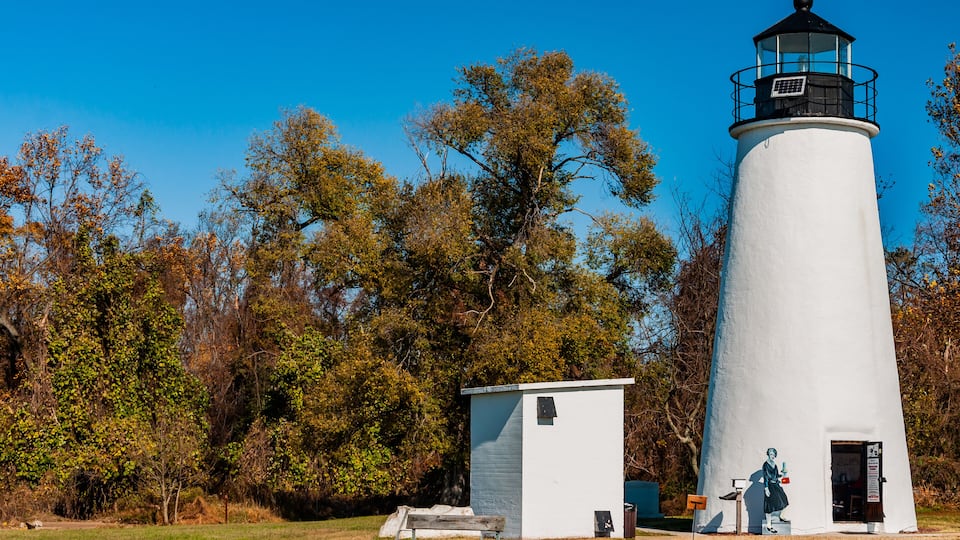 A white lighthouse with a black top, a small shed, and a bench in a grassy area with trees in the background.