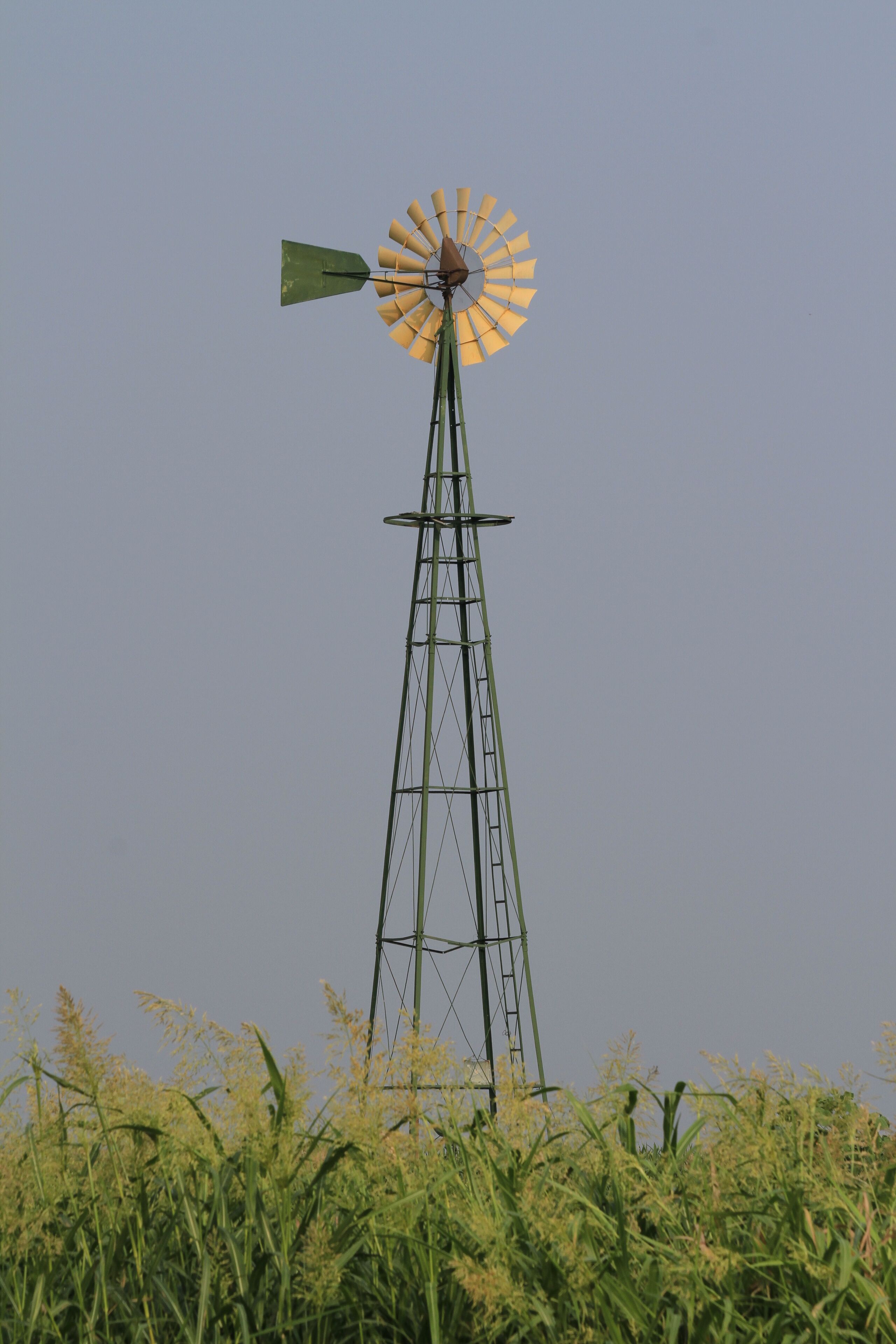 A windmill in a field.
