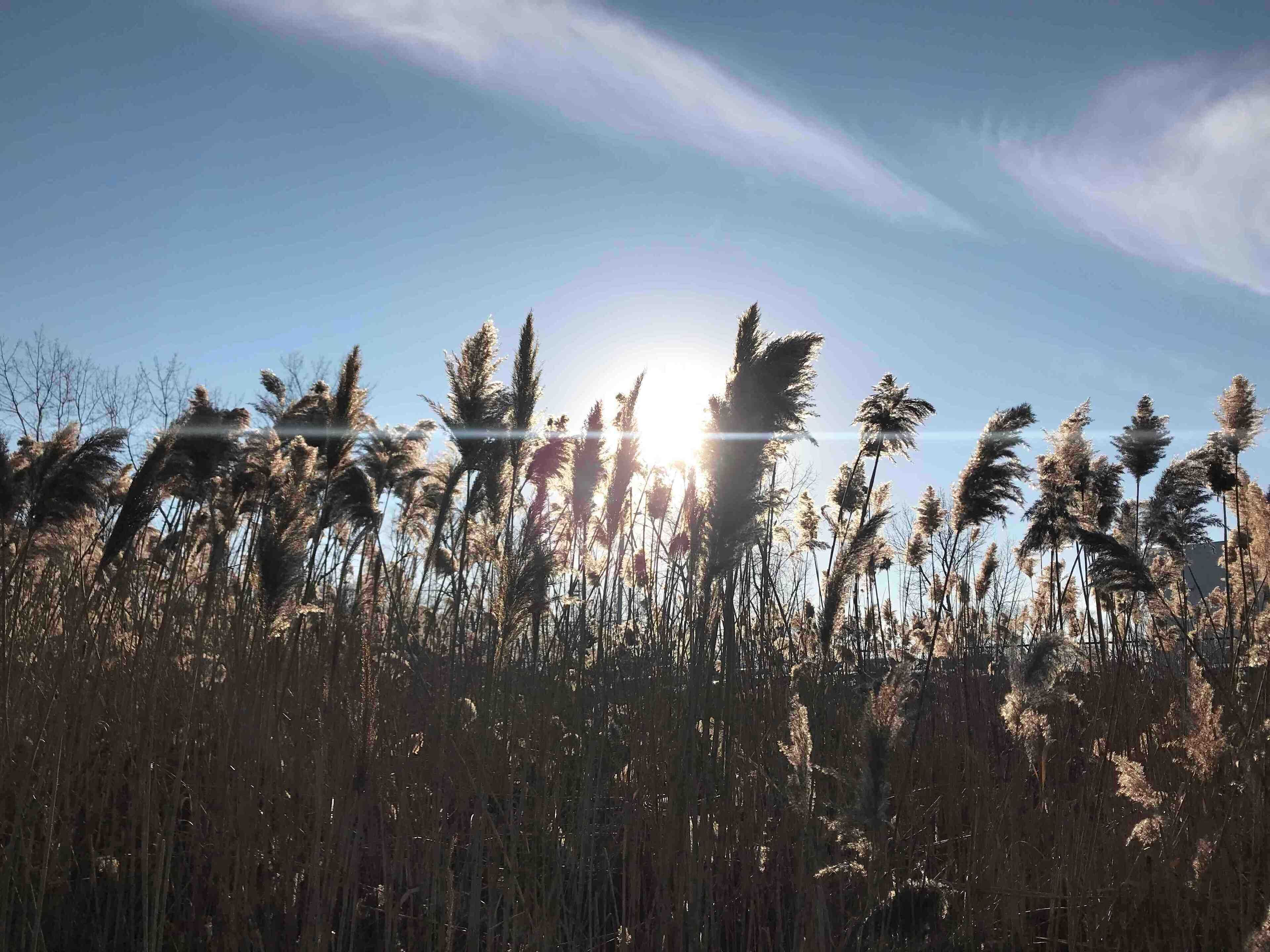 A nice day for a run.