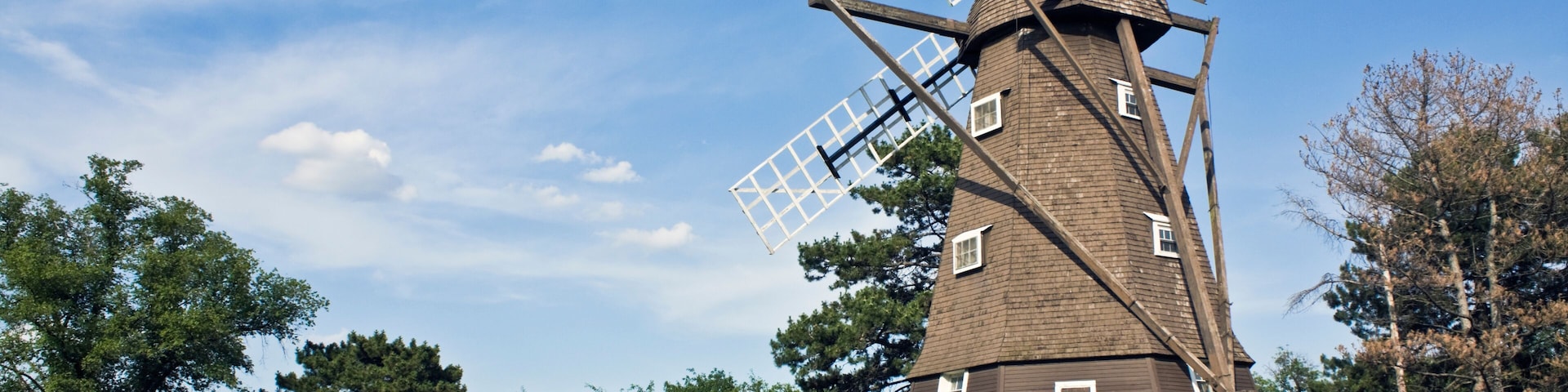 Windmill in Elmhurst