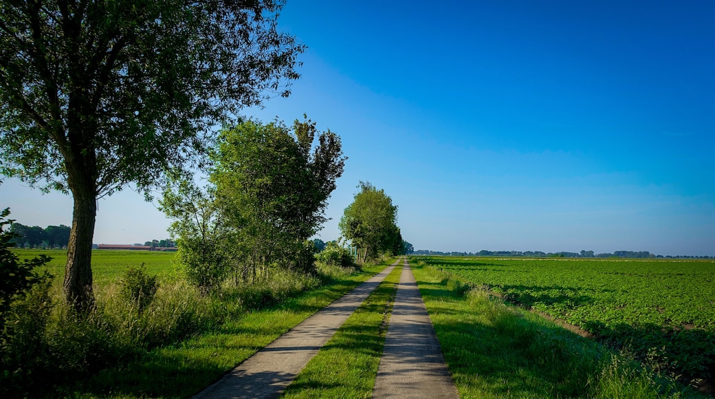 Distrito de Diepholz