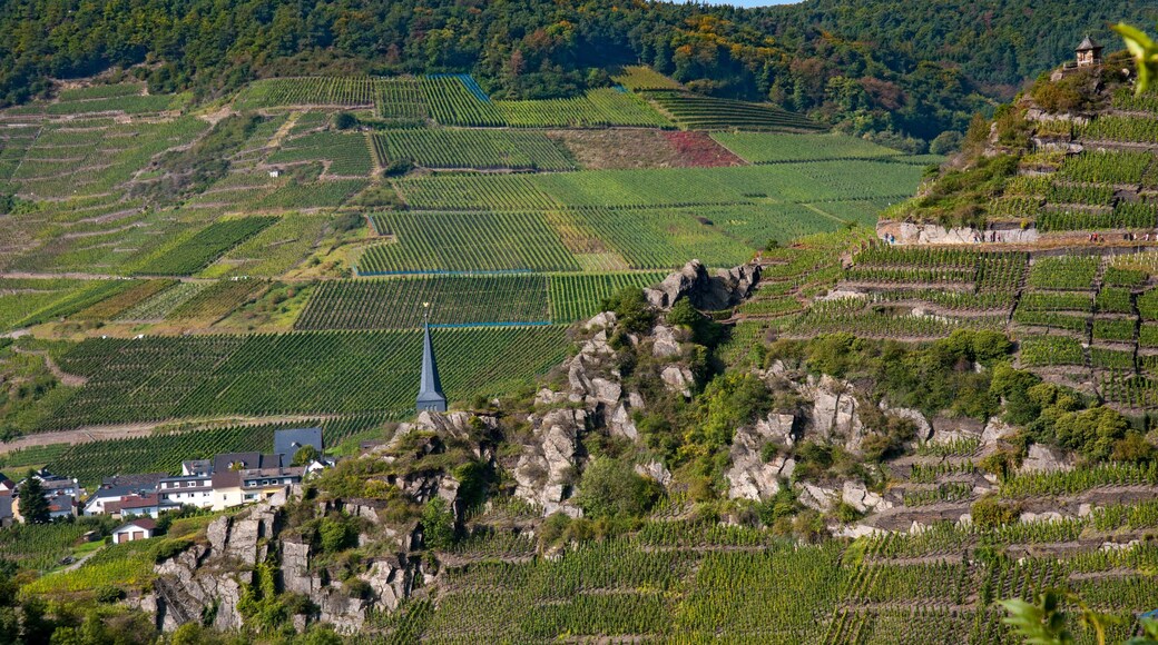 Village of Mayschoß as seen from the 'Rotweinwanderweg', the Red Wine Hiking Trail. Ahrweiler District, Rhineland-Pflaz, Germany