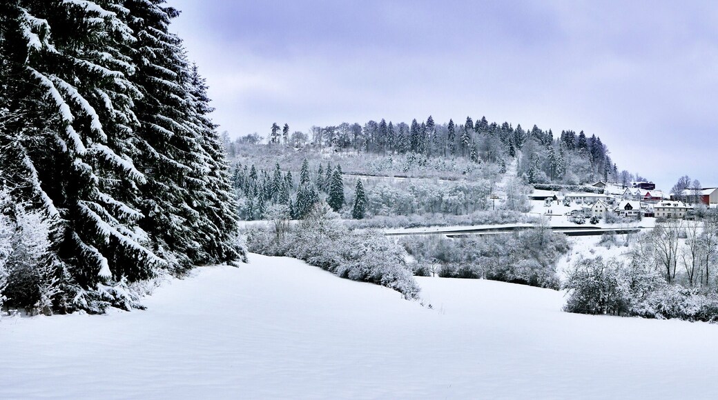 Distrito de Tuttlingen