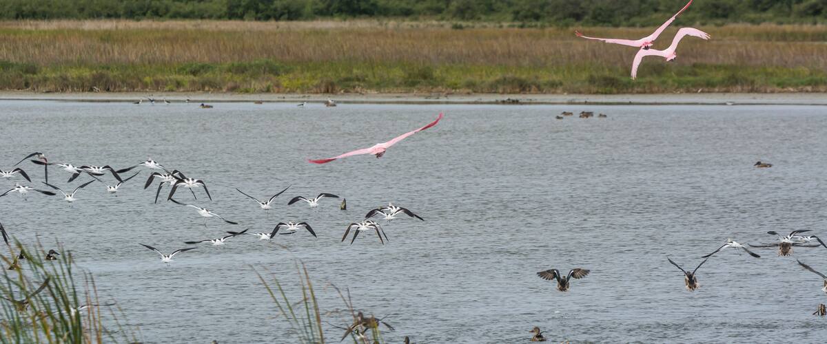 Autumn on Texas Gulf Coast, beach, sand, sea, nature, summer