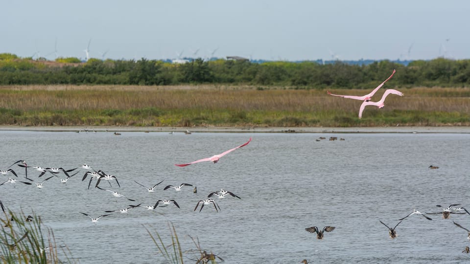 Autumn on Texas Gulf Coast, beach, sand, sea, nature, summer