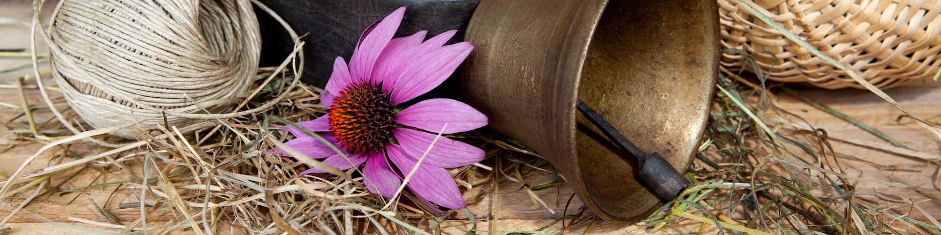 composizione con fiori e campanaccio in bronzo