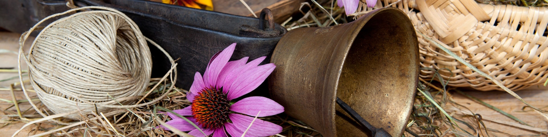 composizione con fiori e campanaccio in bronzo