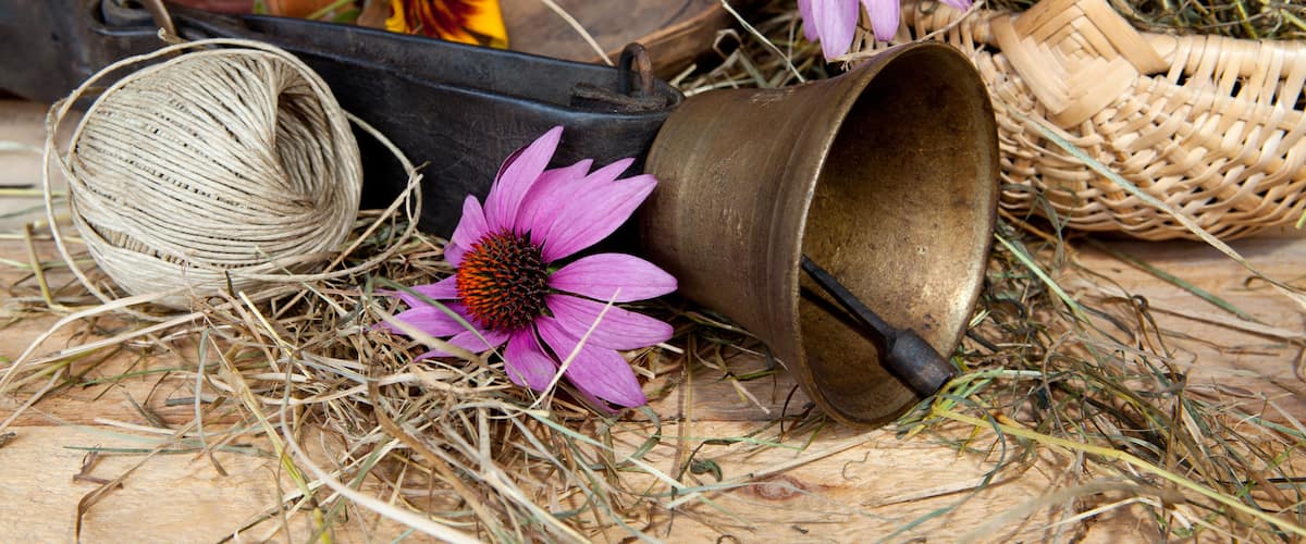 A rustic setting with a metal bell, a woven basket, and flowers on a wooden surface.