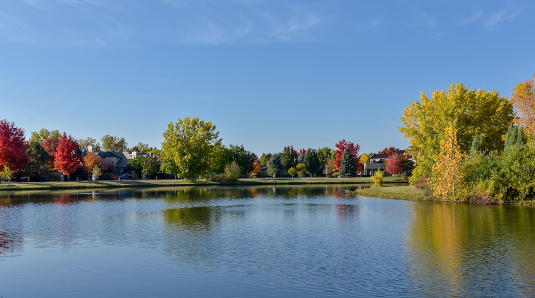 Englewood