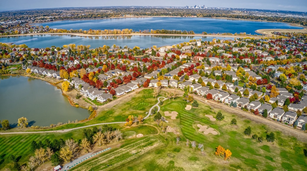 Aerial View of Autumn Colors in Denver Suburb of Englewood, Colorado