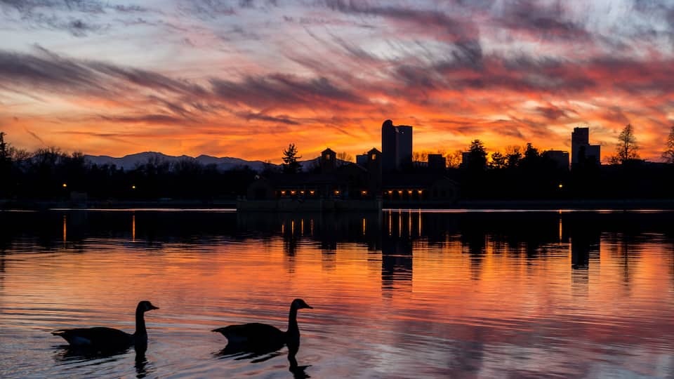A sunset over a city skyline reflected in calm water, with two swans swimming.