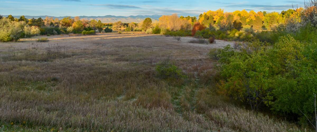 A grassy field with trees in autumn colors and mountains in the background.