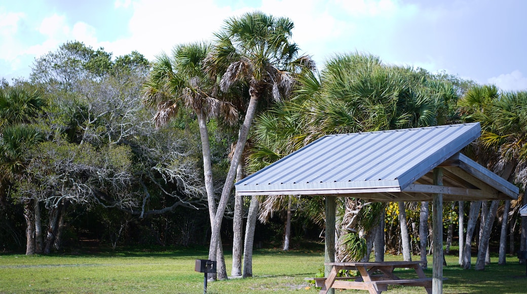 The picnic area at Indian Mound Park in Englewood Florida has everything you need to have a great day with your family.