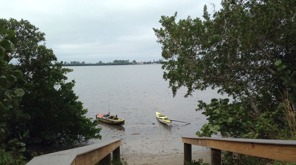 Buddy and I out paddling this morning in near Lemon Bay Preserve,