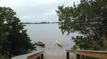 Buddy and I out paddling this morning in near Lemon Bay Preserve,