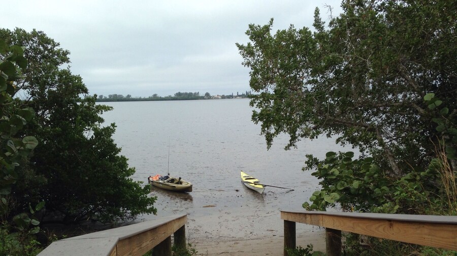 Buddy and I out paddling this morning in near Lemon Bay Preserve,