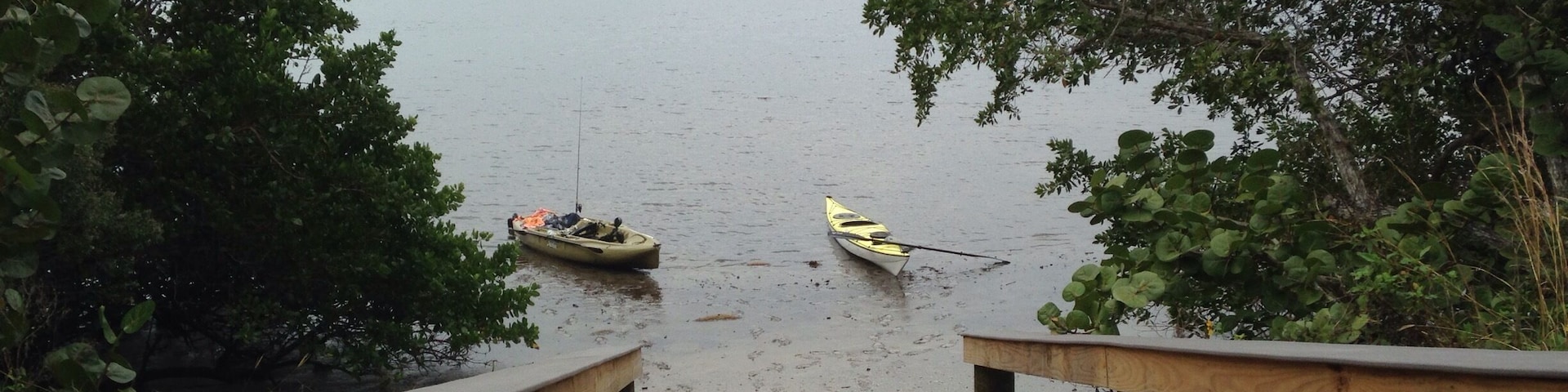 Buddy and I out paddling this morning in near Lemon Bay Preserve,