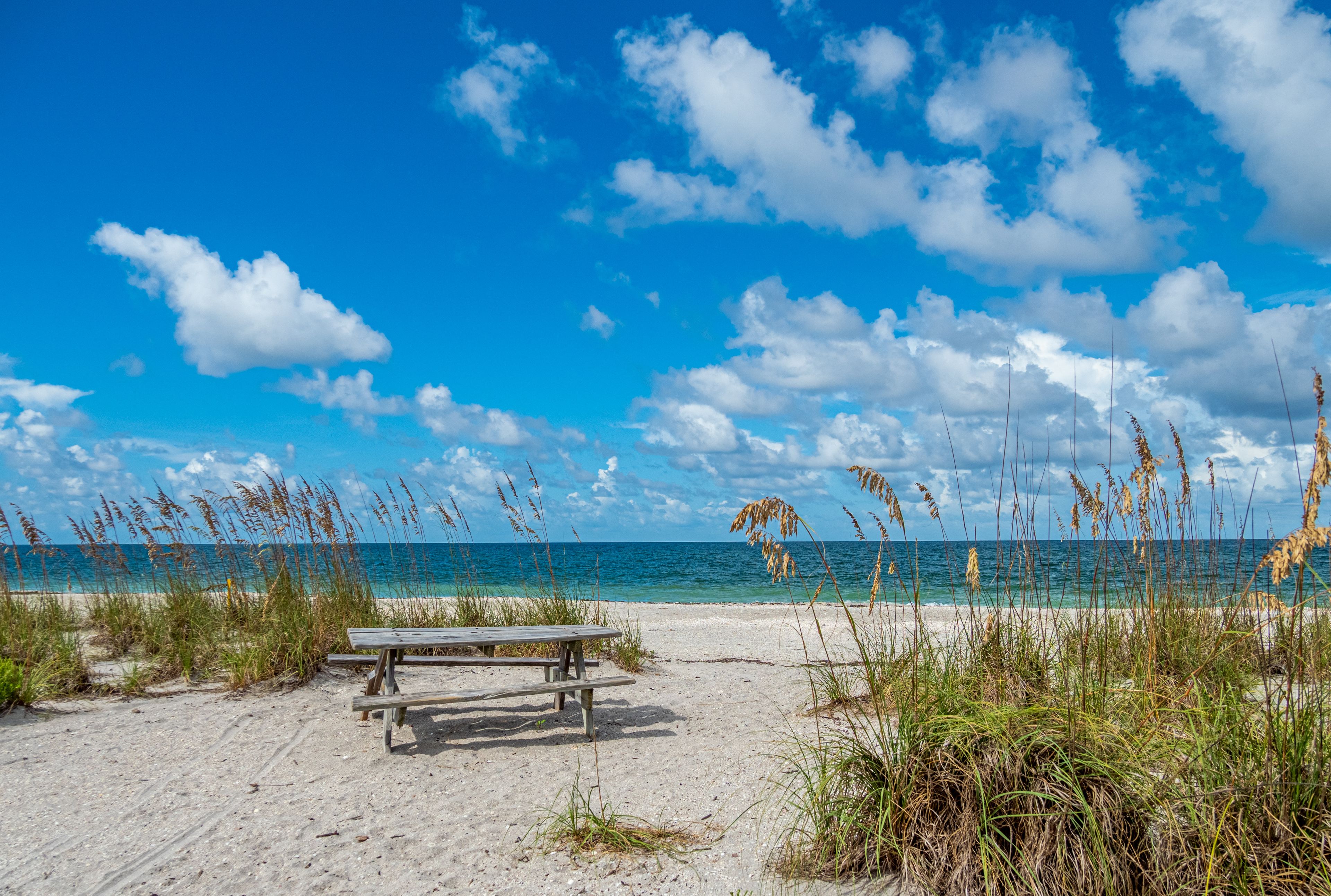 Picnic table on beach at Stump Pass State Park on the Gulf of Mexico in Englewood  in Southwest Florida